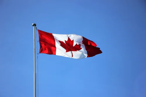 Immigration Opportunities
