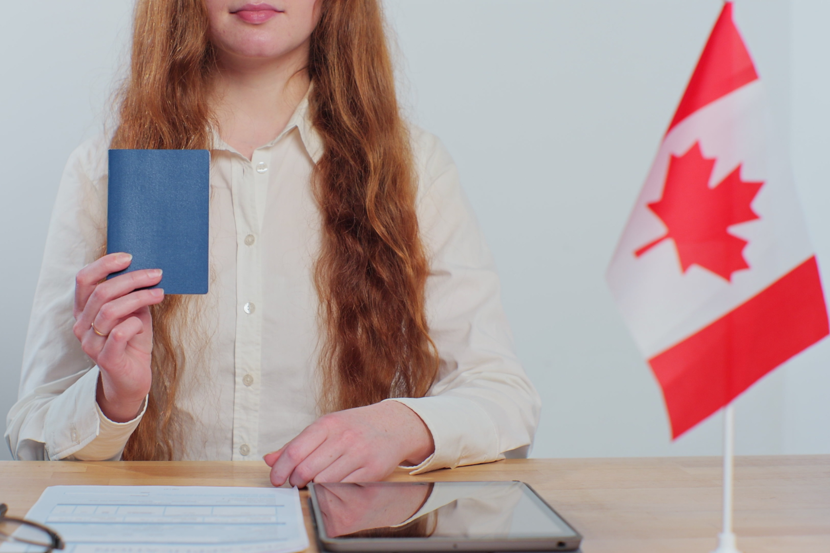 Immigration Consultants in Canada